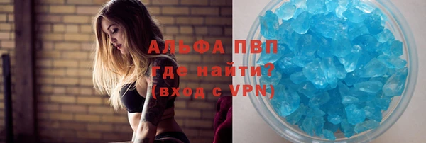 гидра Рославль
