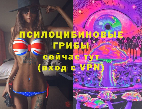 прущие крисы Алзамай