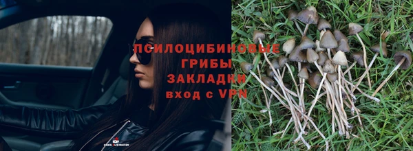 кокс Алексеевка