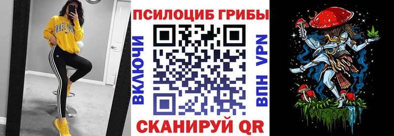 Псилоцибиновые грибы Psilocybe Кимры