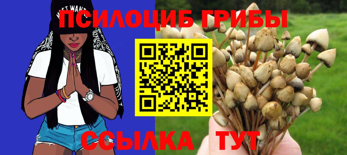 Кимры  Псилоцибиновые грибы ЛСД  где найти наркотики  Вход с VPN 
