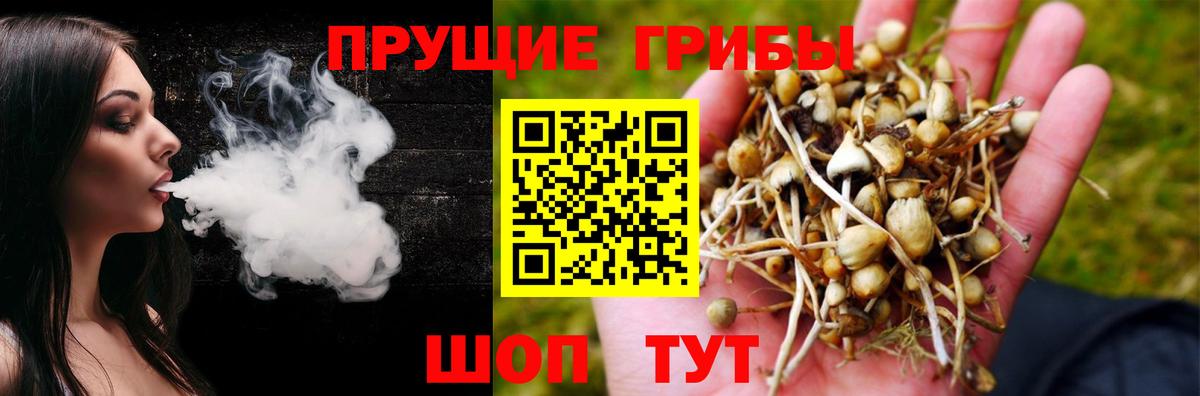 Галлюциногенные грибы Cubensis Кимры